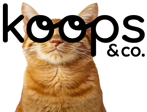 Cat with logo glasses
