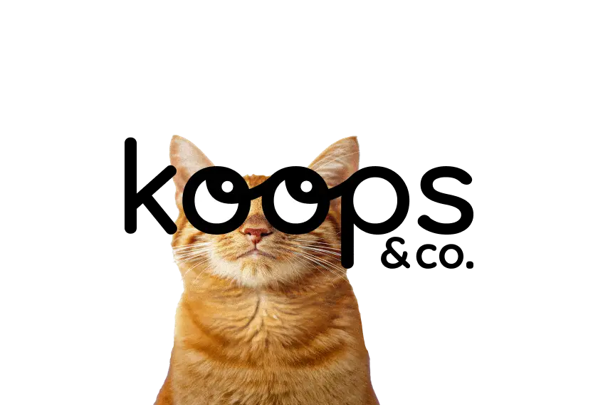 Cat with logo glasses